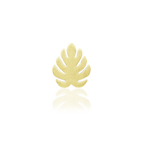 Monstera — Junipurr