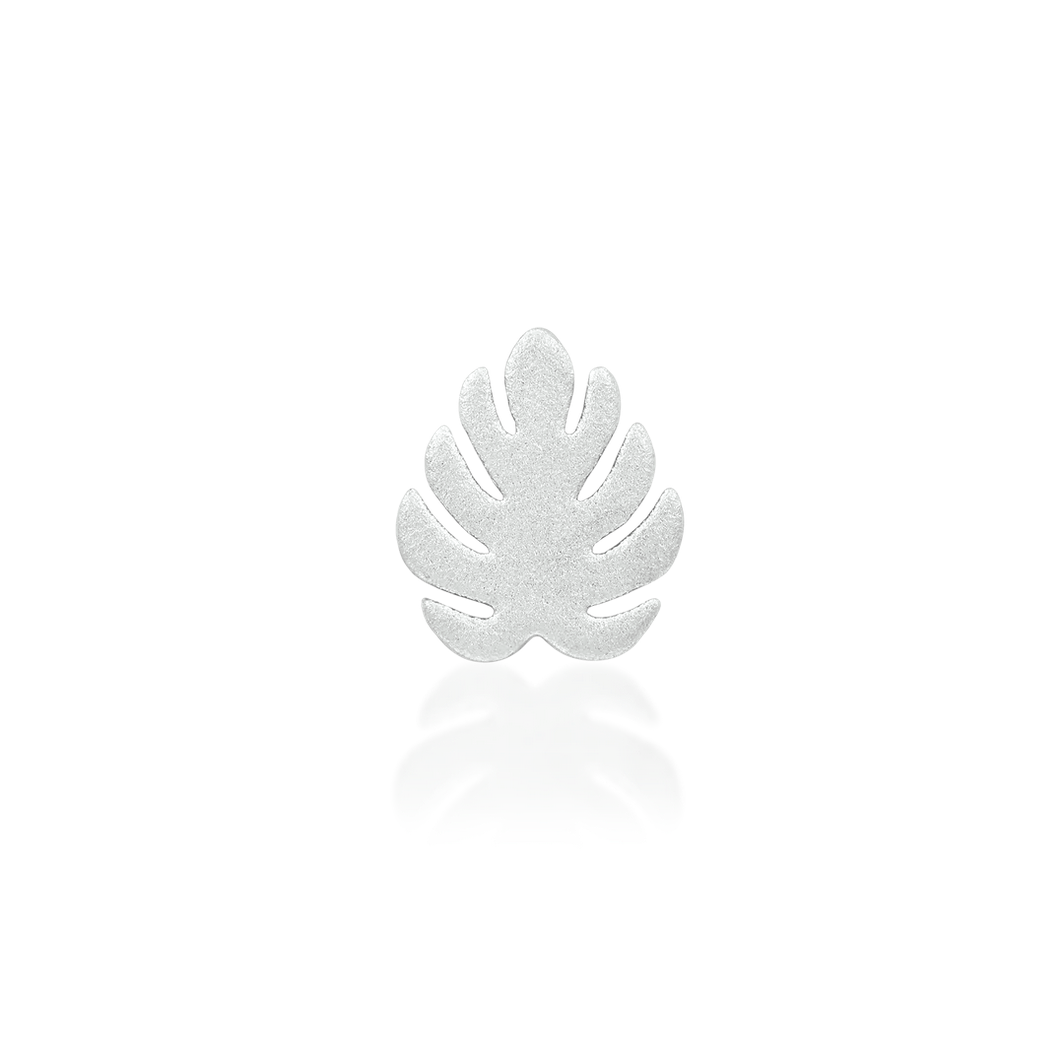 Monstera — Junipurr