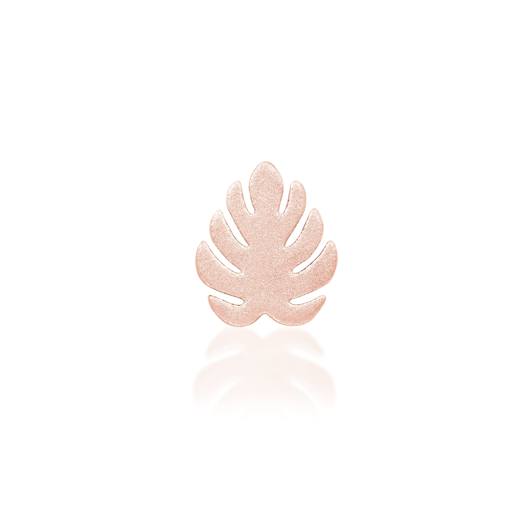Monstera — Junipurr