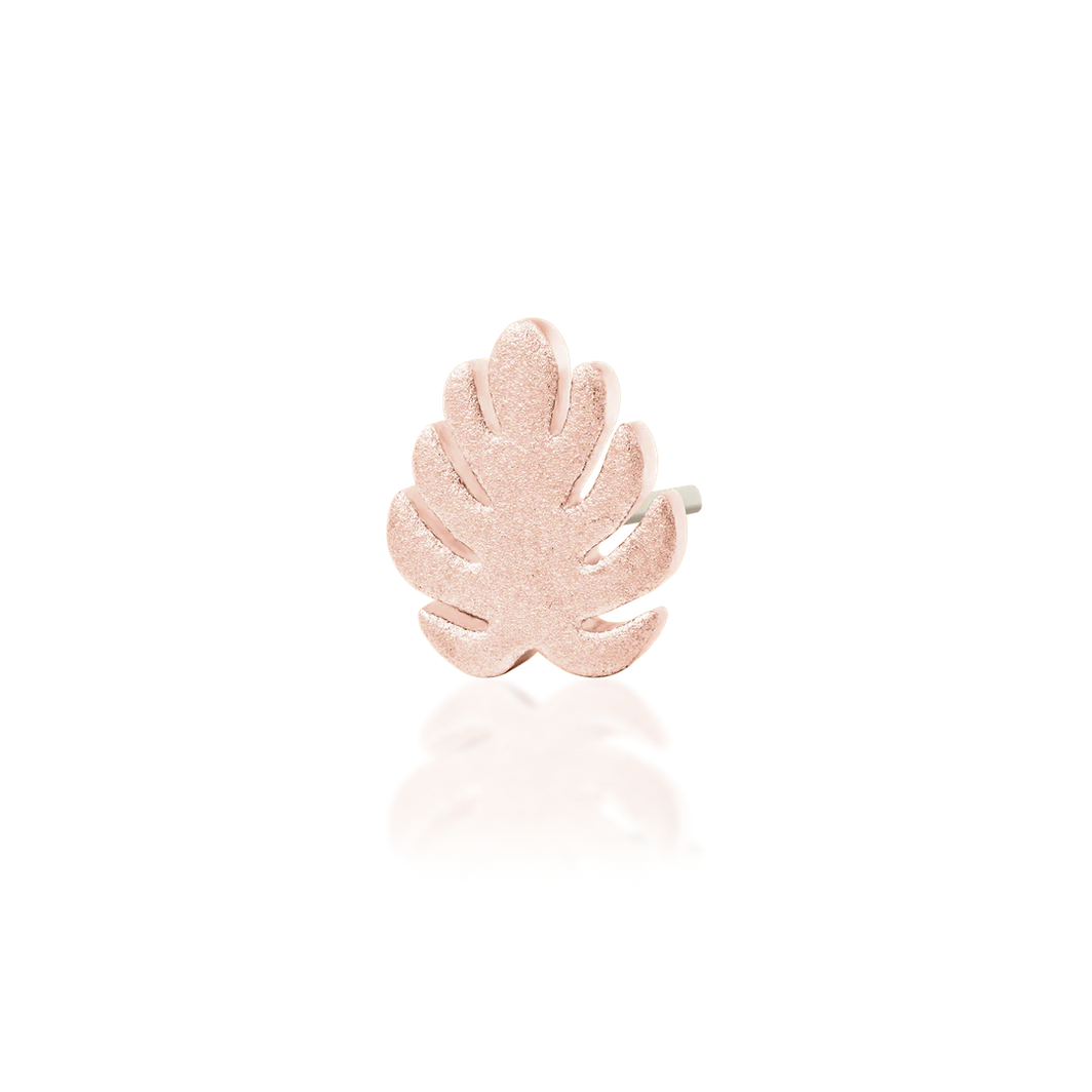Monstera — Junipurr
