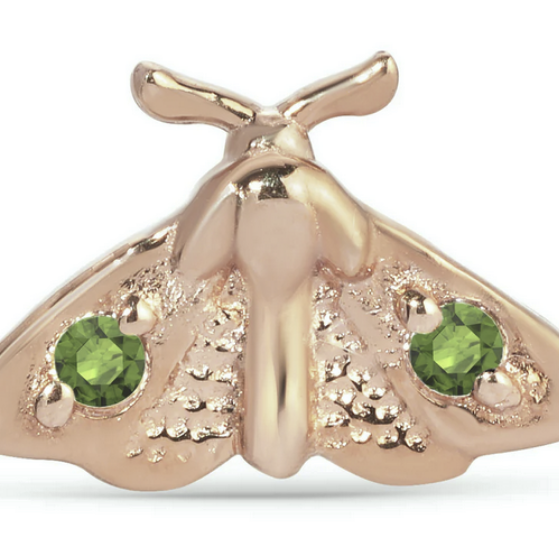 Moth From Mushroom — M.US.HROOM