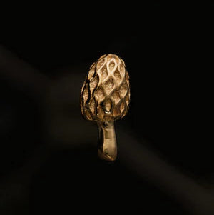Gold Mushroom 08  End — Anatometal