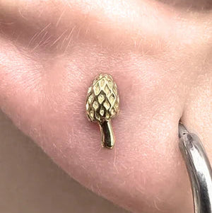 Gold Mushroom 08  End — Anatometal