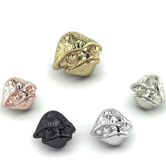 Mushroom Frog From Mushroom