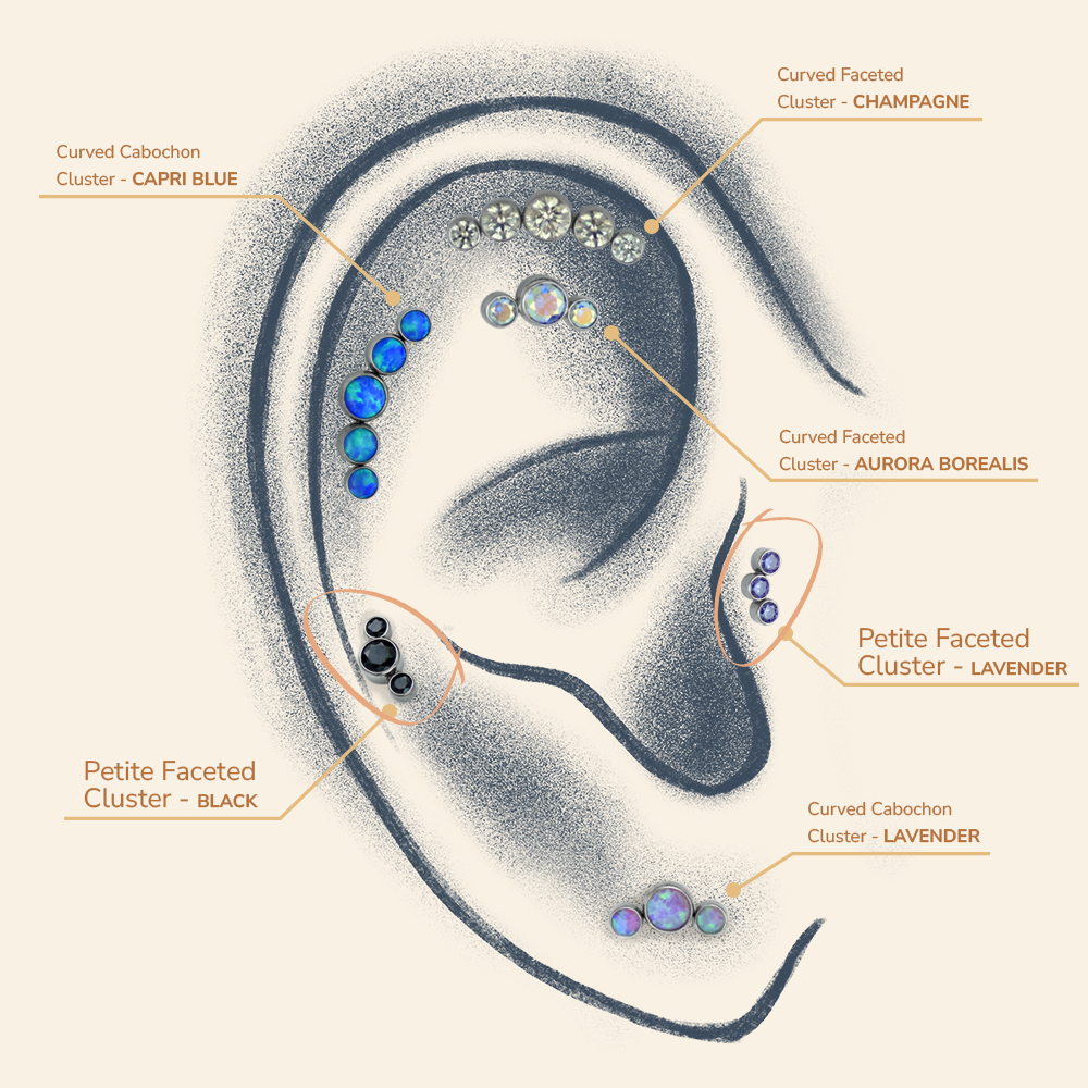 Drawn ear with different cluster types to showcase how they fit. This ear features the petite curved clusters with faceted gems.