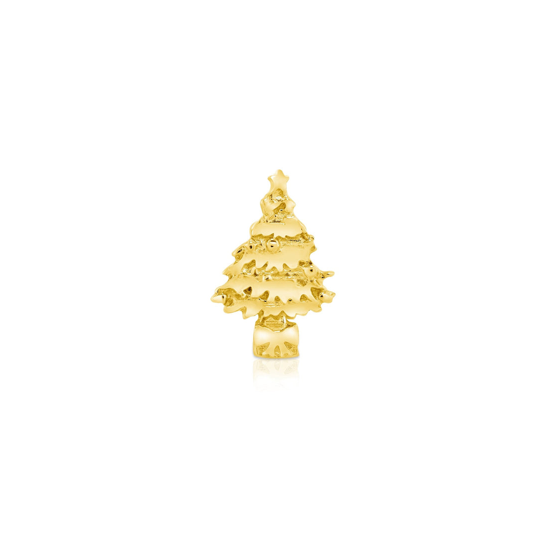 Blue Spruce — NorVoch