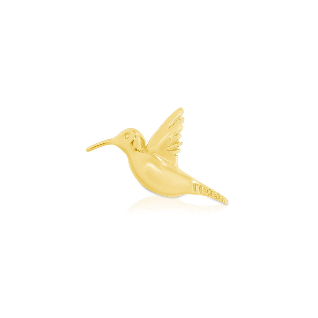 Hummingbird — NorVoch