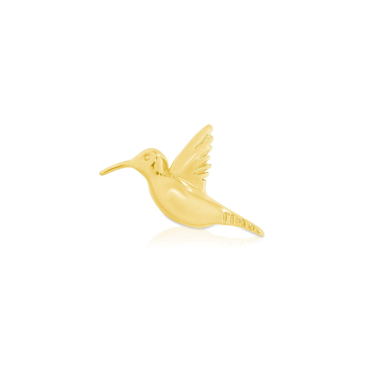 Hummingbird — NorVoch