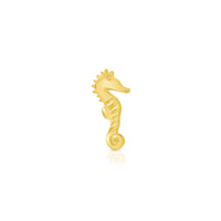 Sea Horse — NorVoch