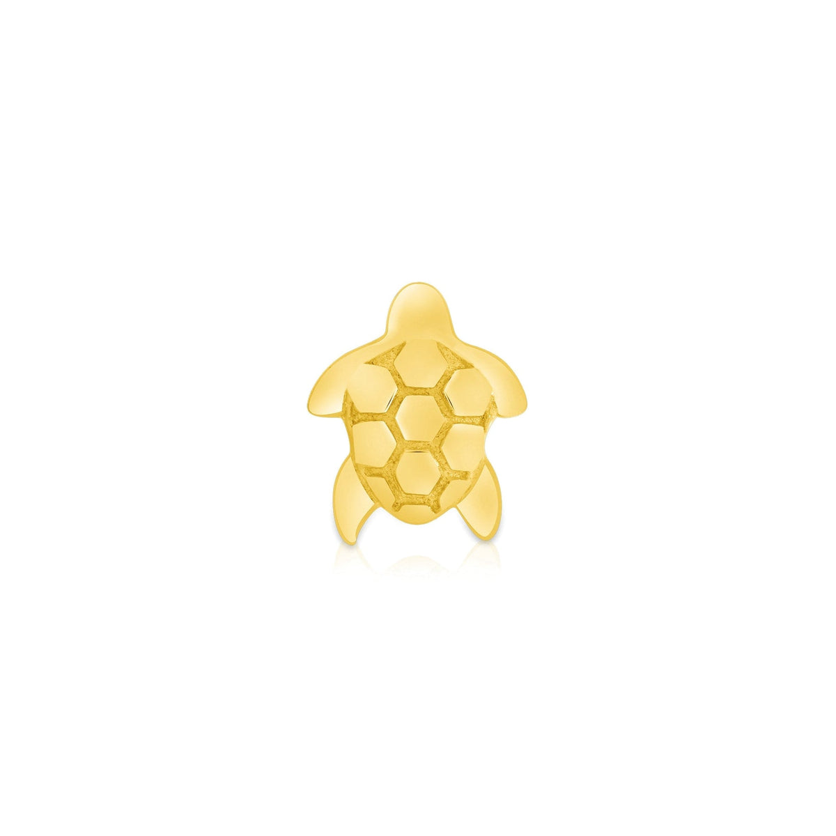 Sea Turtle — NorVoch