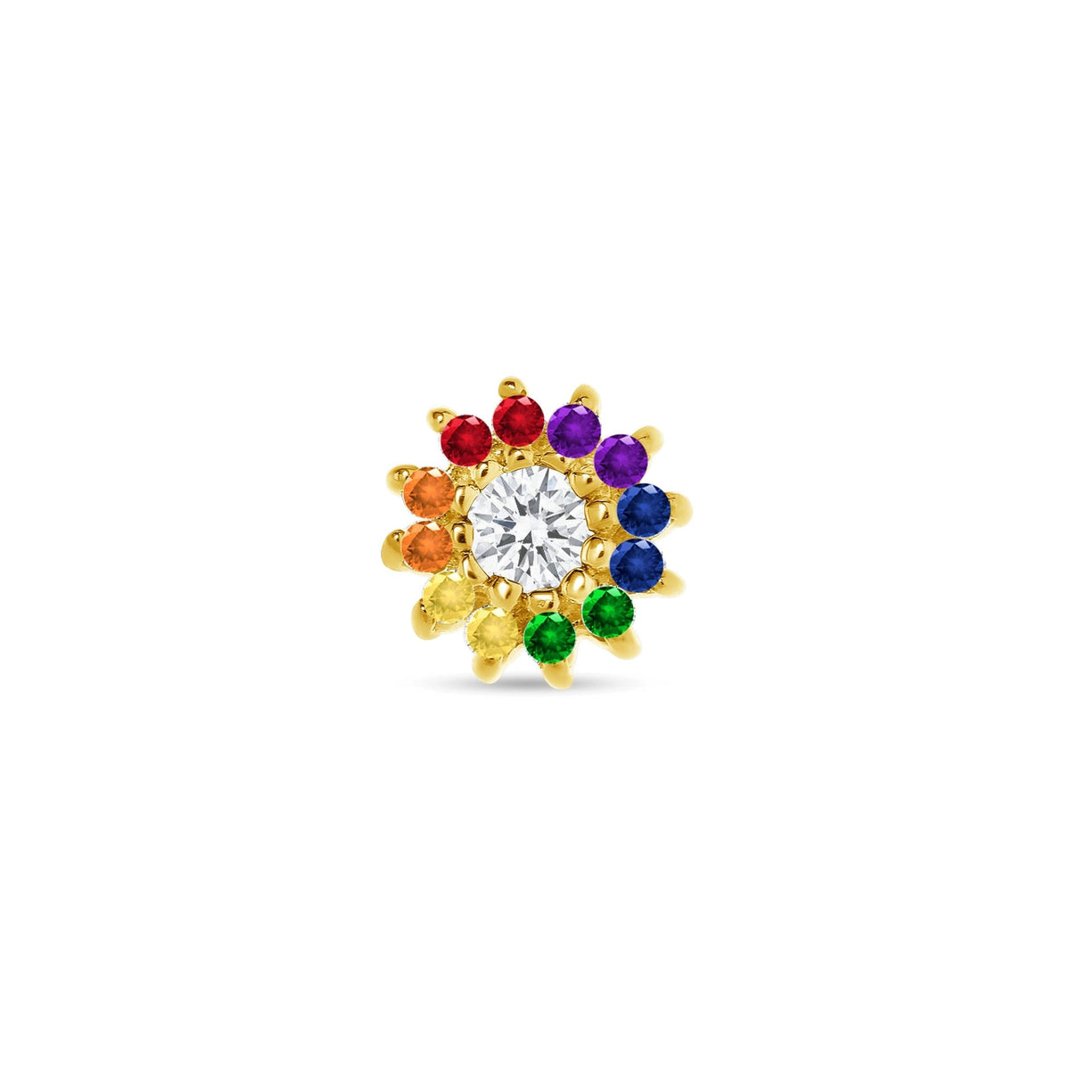 Pride Camellia — NorVoch