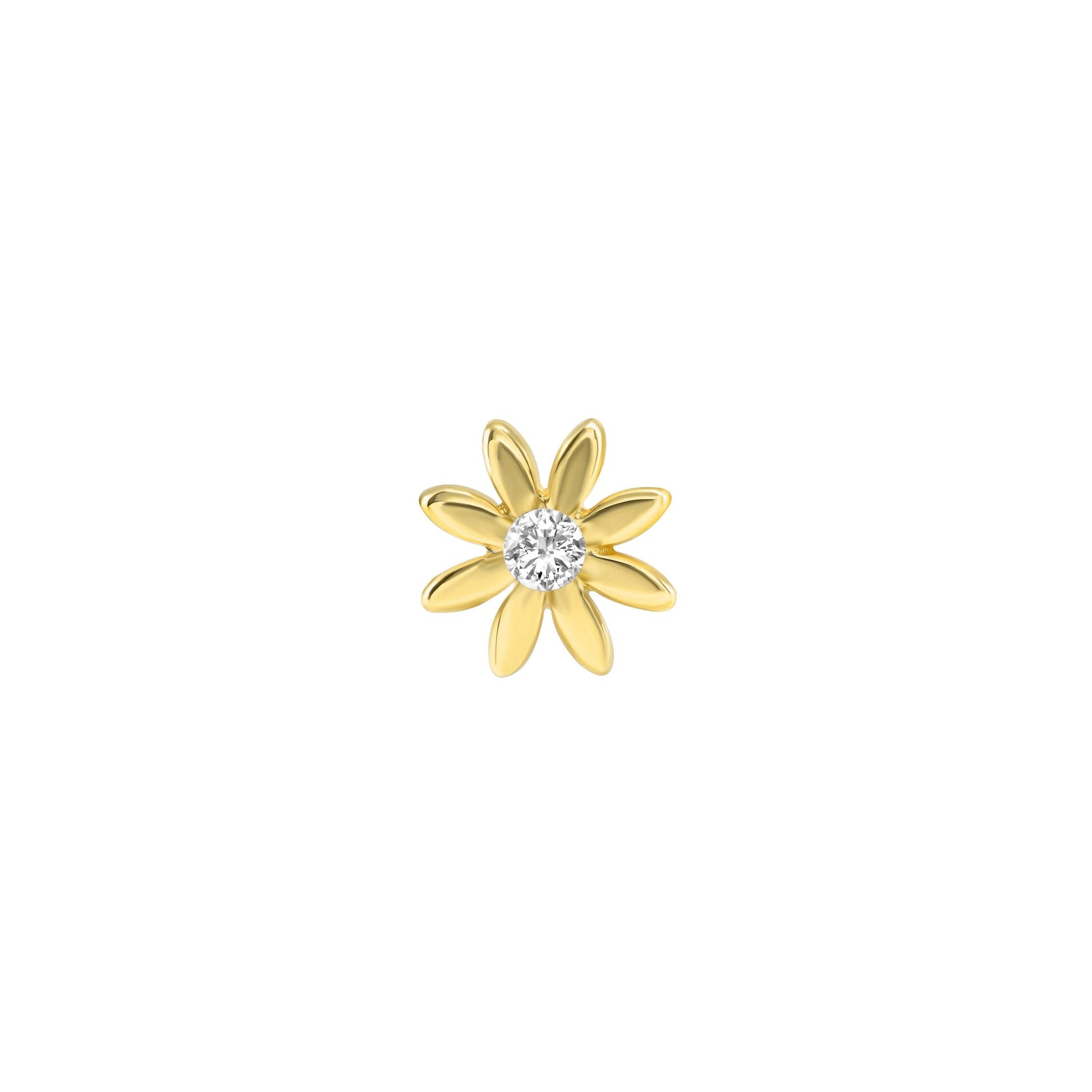 Chamomile Flower — NorVoch