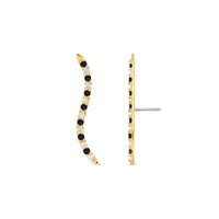 Path With Gems Zebra — NorVoch