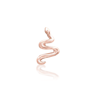 Noodle — Junipurr