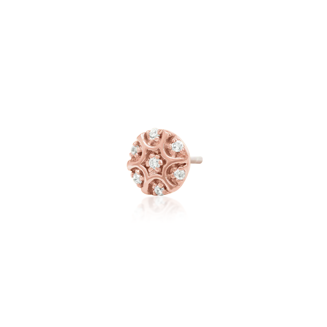 Nuala from Junipurr Rose Gold (Vault)