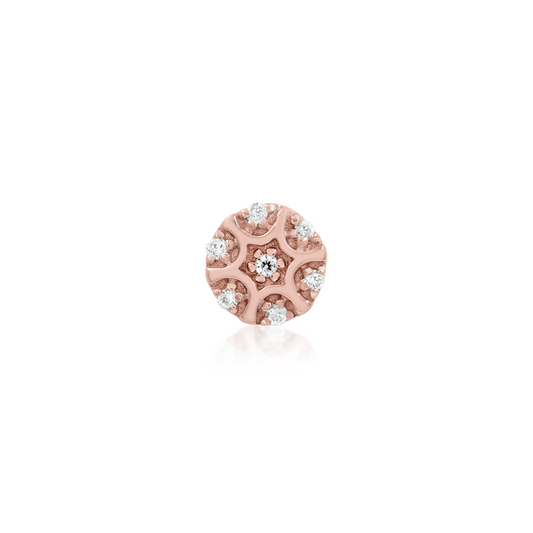 Nuala from Junipurr Rose Gold (Vault)