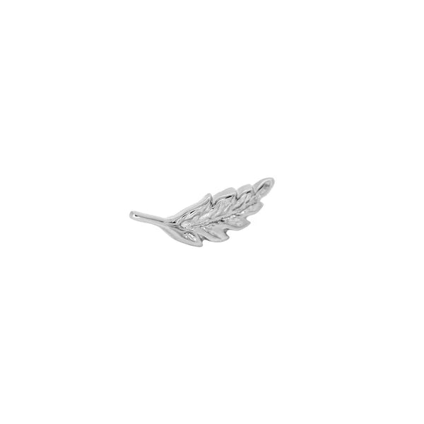 Oak Leaf From Mushroom — M.US.HROOM