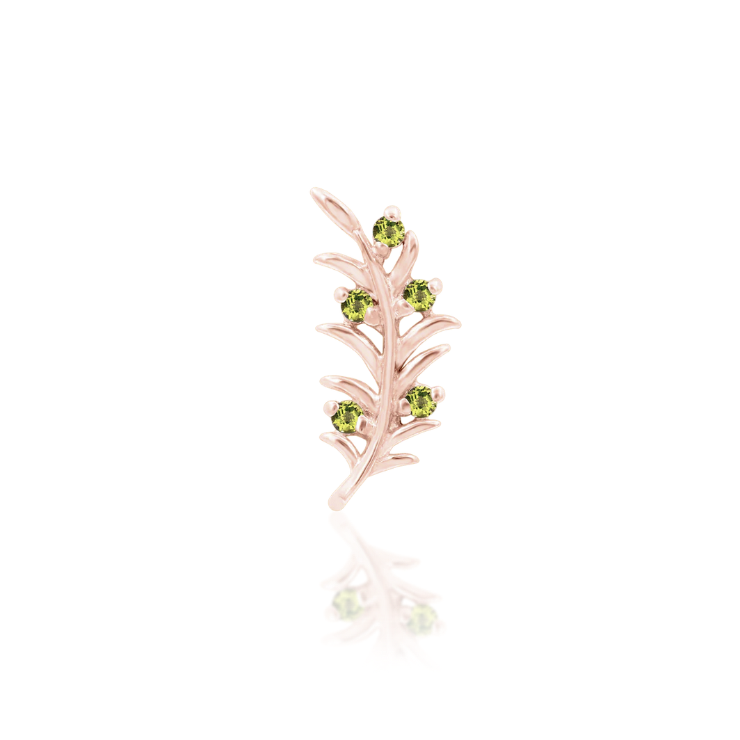 Olive Branch — Junipurr
