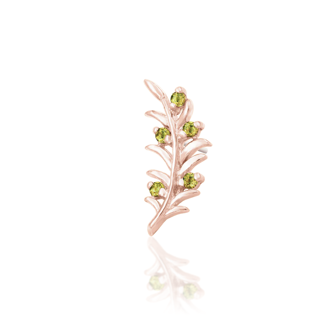 Olive Branch — Junipurr