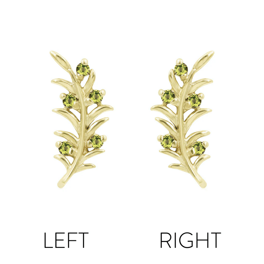 Olive Branch — Junipurr