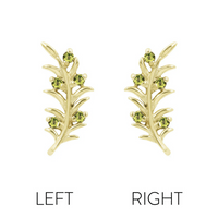 Olive Branch — Junipurr