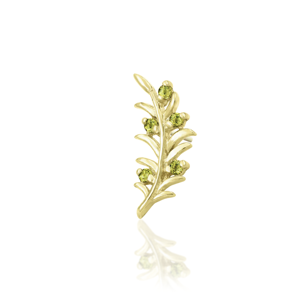 Olive Branch — Junipurr