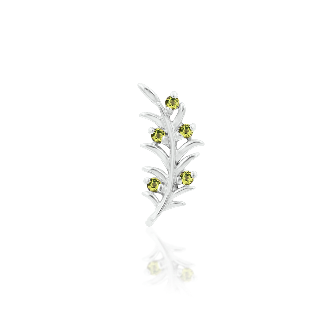 Olive Branch — Junipurr