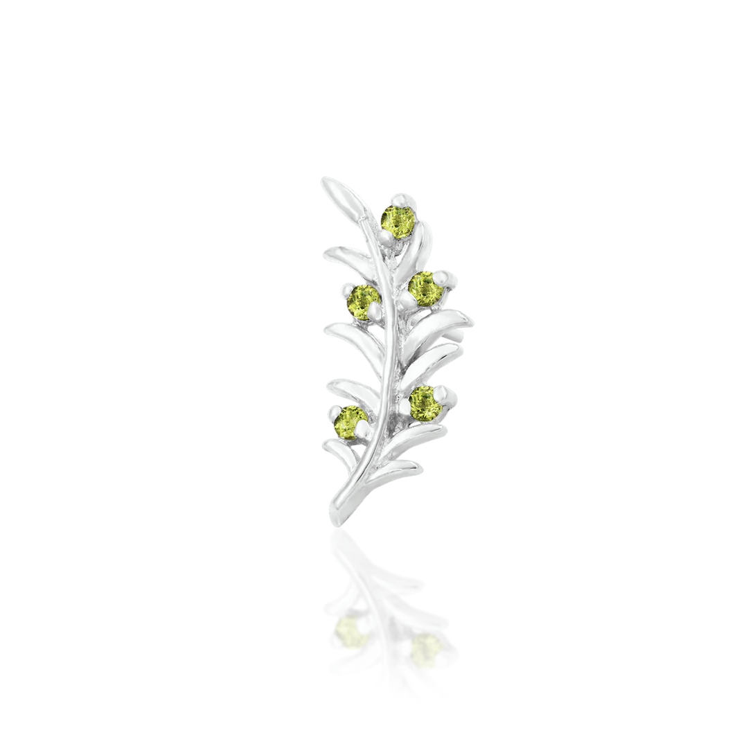 Olive Branch — Junipurr