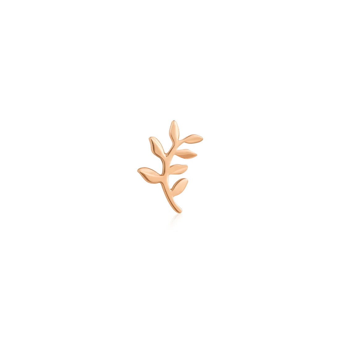 Paradise — Ember