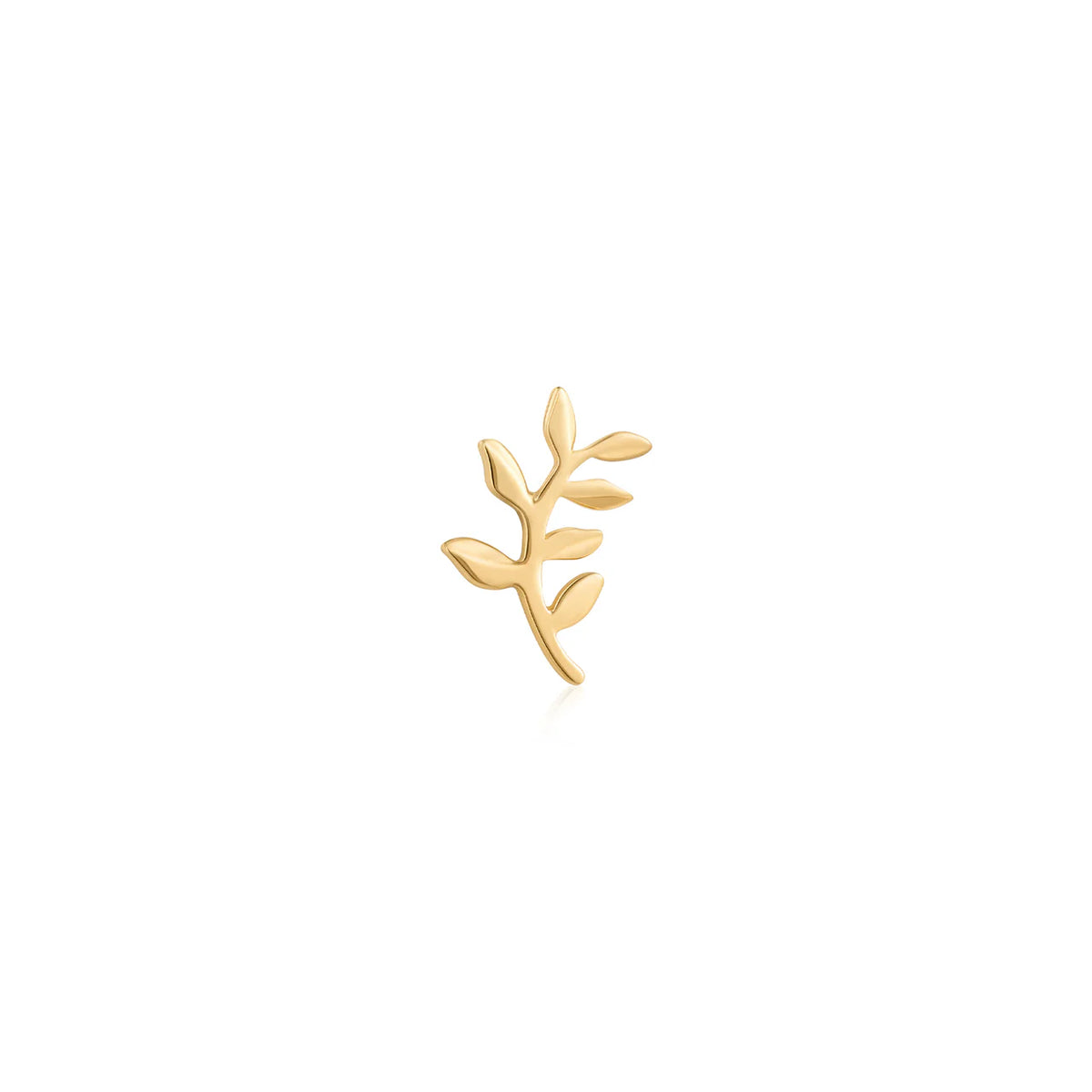 Paradise — Ember