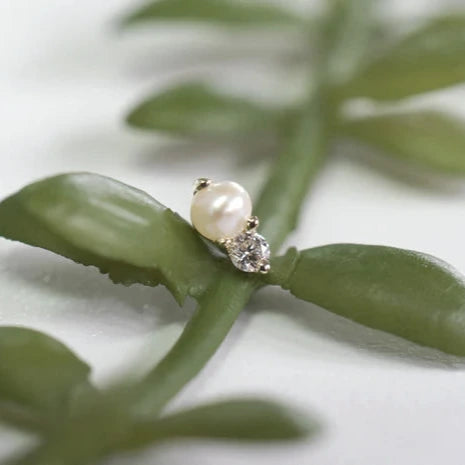 Pippa - Pearl from Modern Mood