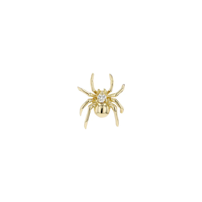Pippa Diamond Spider from Modern Mood