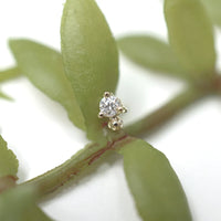 Pippa Dot Mini - Diamond — Modern Mood