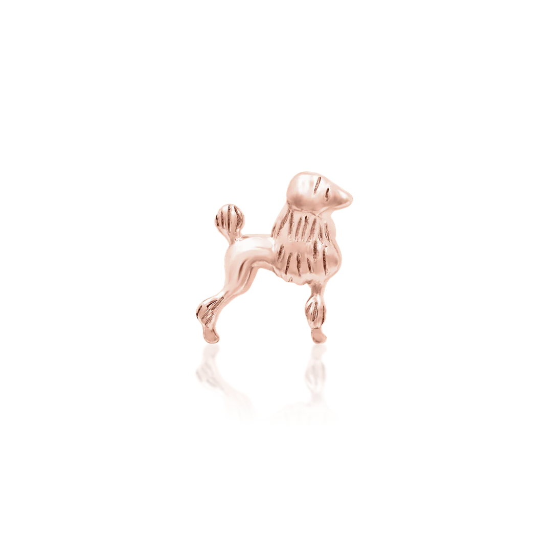 Poodle from Junipurr (Vault)