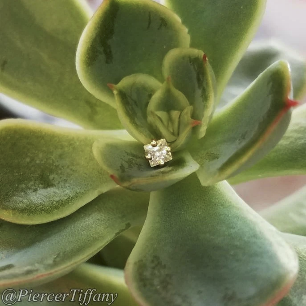 Princess Cut CZ from Junipurr (Vault)