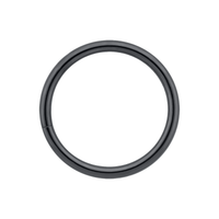 Niobium Seam Ring
