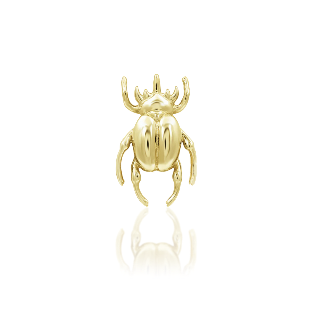 Rhino Beetle from Junipurr