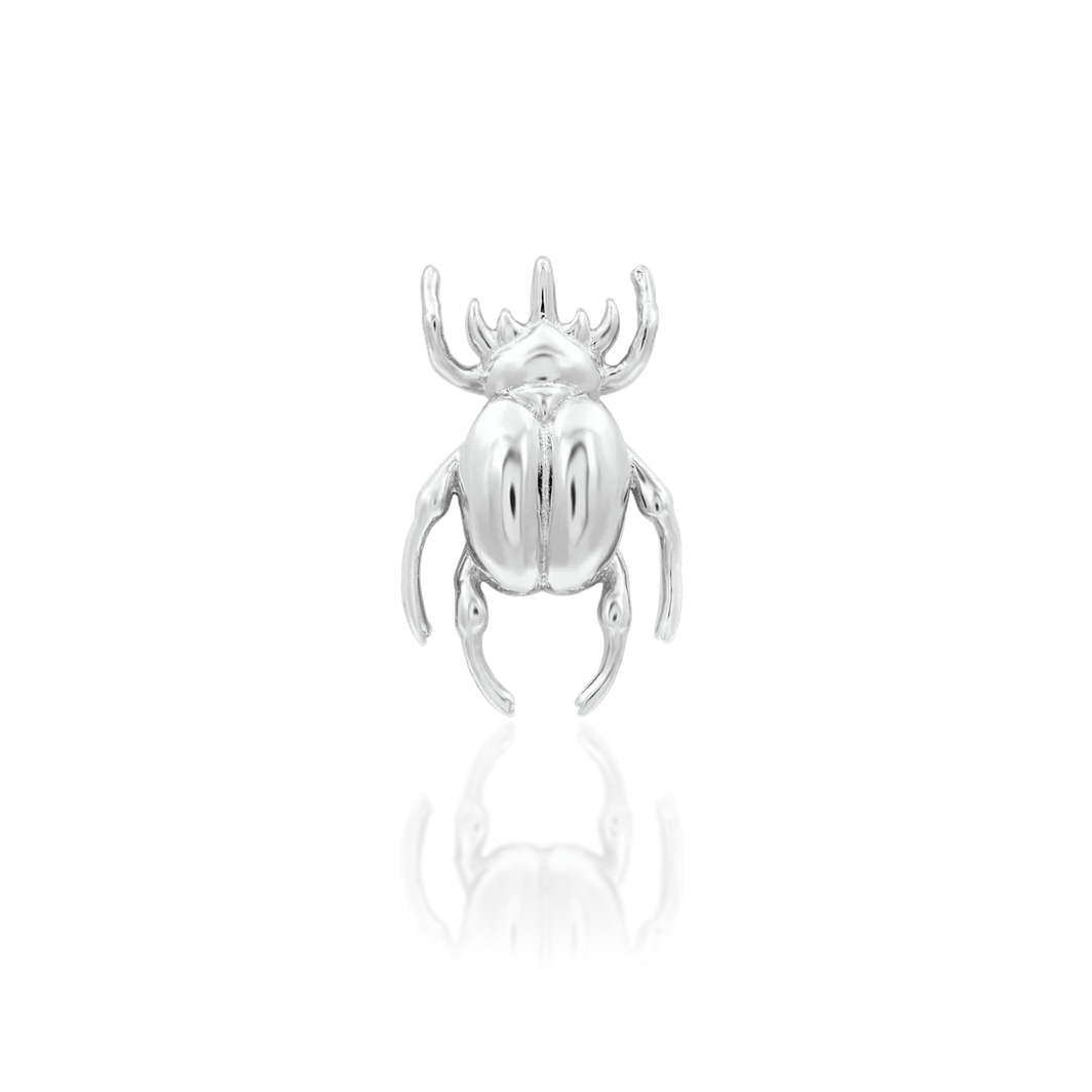 Rhino Beetle — Junipurr