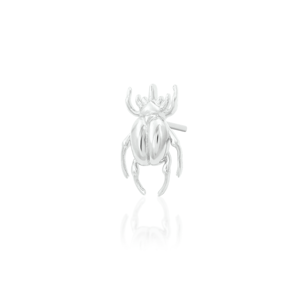 Rhino Beetle — Junipurr