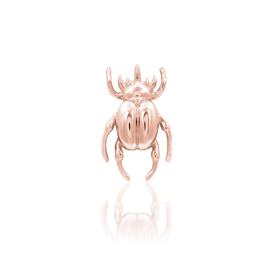 Rhino Beetle — Junipurr