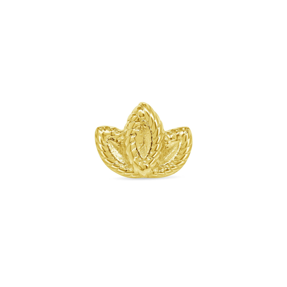 Sprout — NorVoch