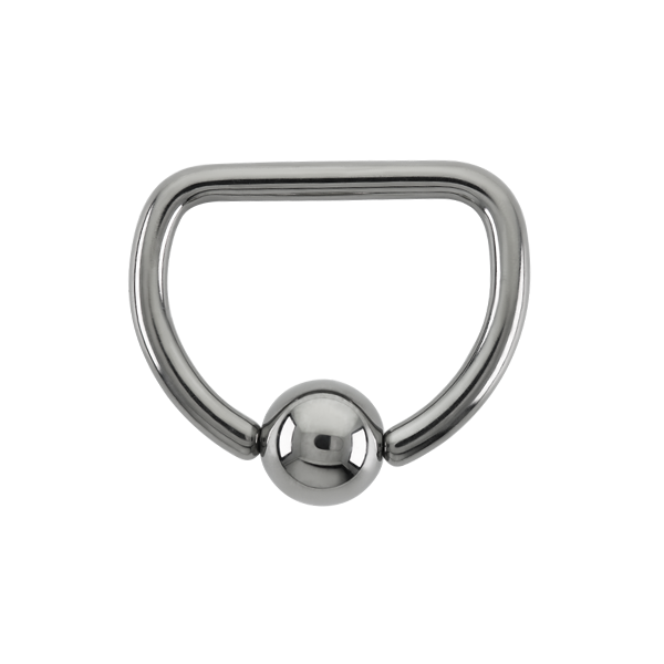 Stainless Steel D Ring