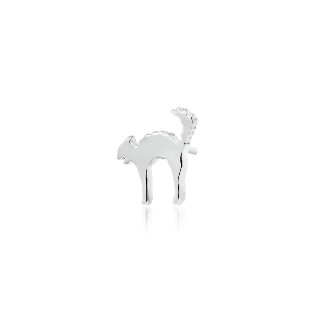 Scaredy Cat from Junipurr White Gold (Vault)