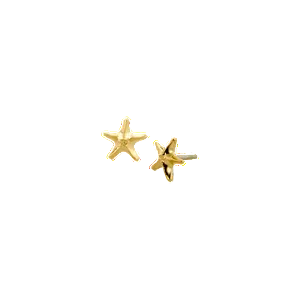 Gold Sea Star End from Anatometal