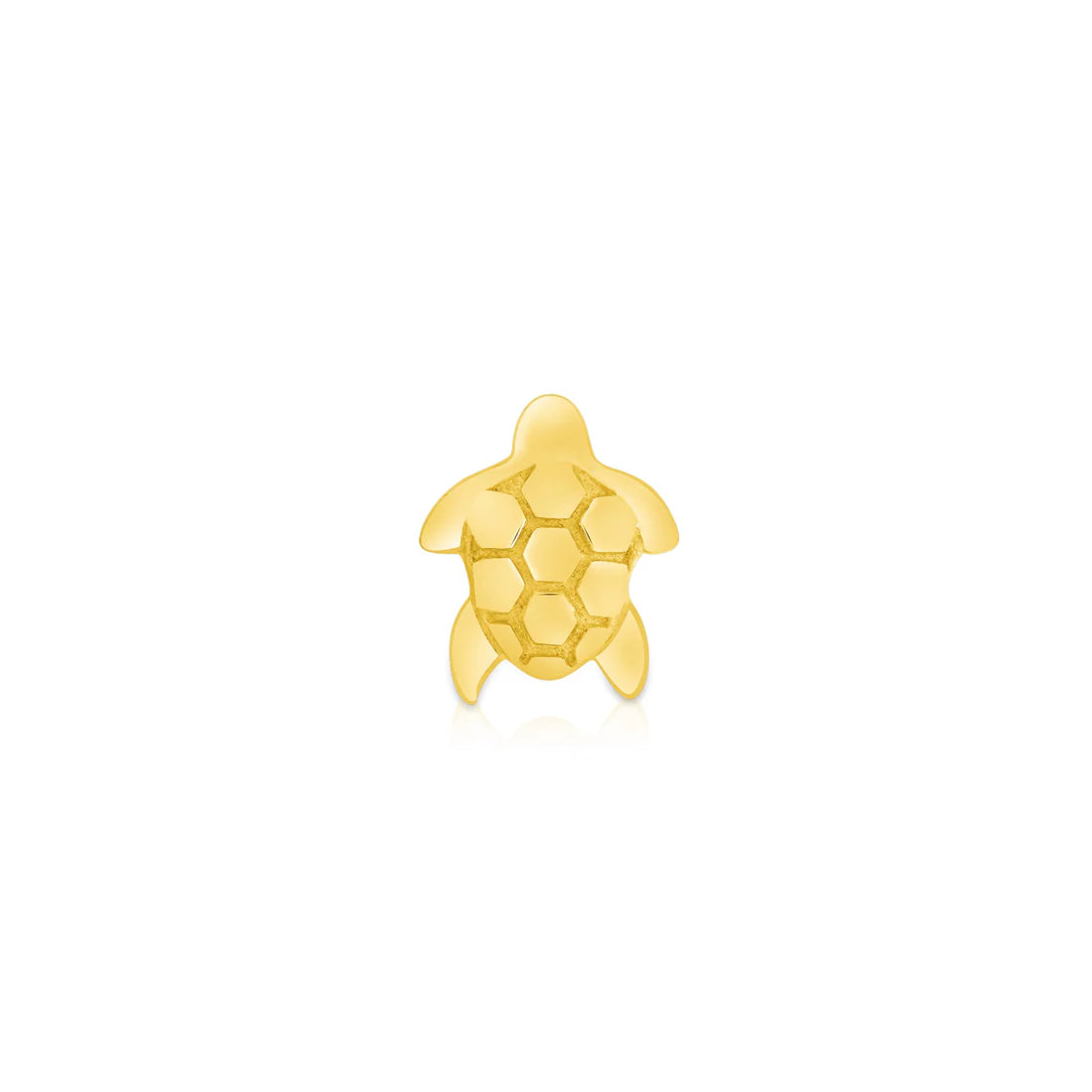 Sea Turtle from Norvoch