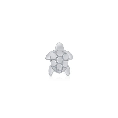 Sea Turtle from Norvoch