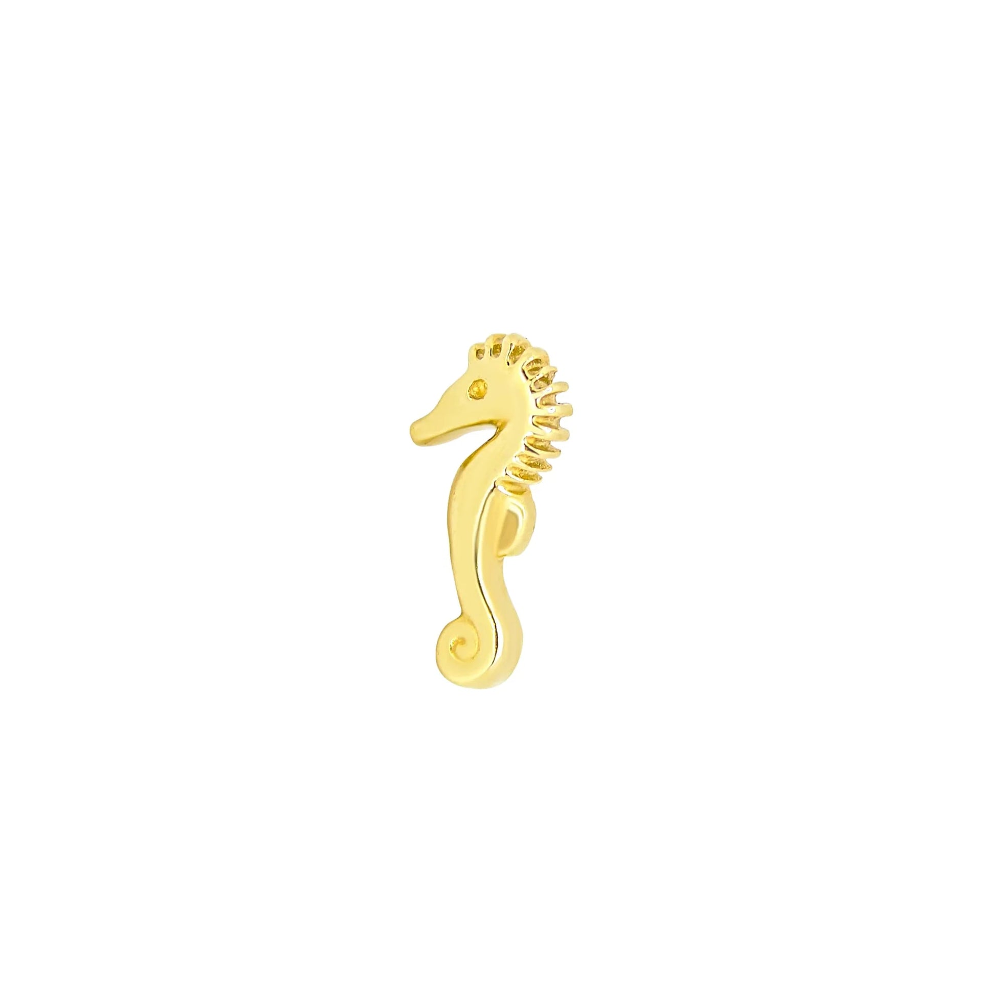 Seahorse From Mushroom — M.US.HROOM