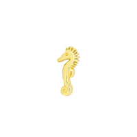 Seahorse From Mushroom — M.US.HROOM