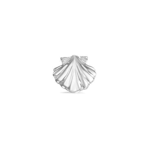 Shell from Norvoch