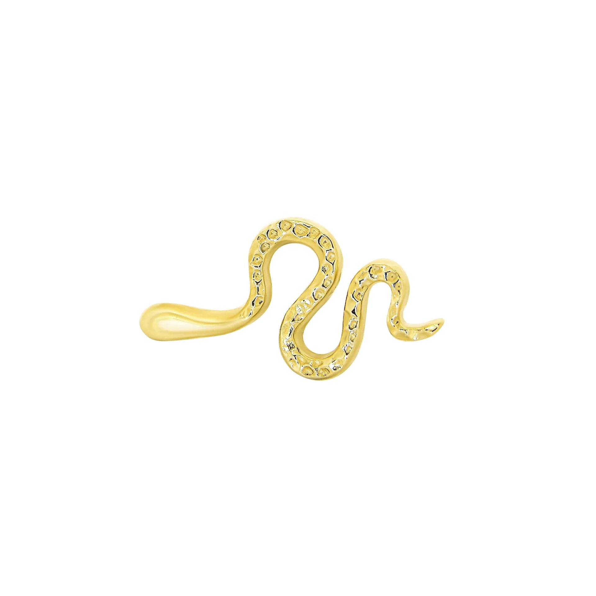 Snake From Mushroom — M.US.HROOM